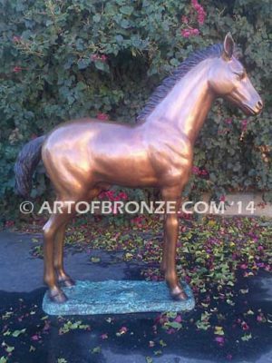 Precious bronze sculpture of standing foal horse for ranch or equestrian center
