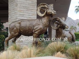High Places Outdoor heroic bronze life-size pair of bighorn sheep ram sculptures