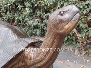 Galapagos Giant Tortoise bronze fine art gallery reptile statue- tortoise, turtle, and terrapin