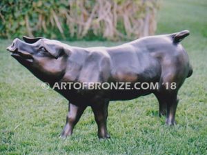 Free Range bronze cast playful life-size adult pig and piglets playing together