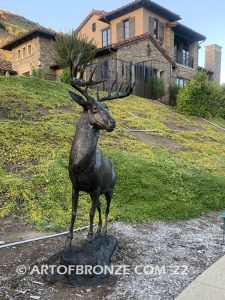 Buck Wild special edition, gallery quality standing outdoor deer (buck) monument