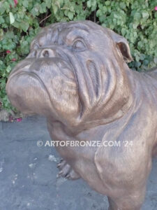 Chopper gallery quality custom bronze sculpted statue of 4 ft. long bulldog