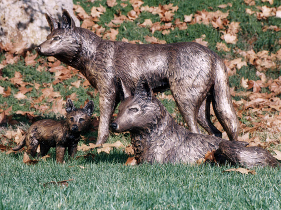 Coyote Family bronze coyote sculpture set for school mascot, universities, zoo or private home