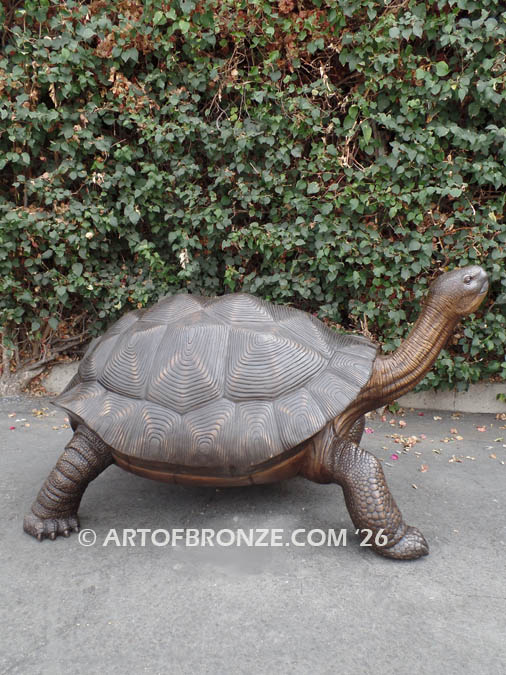 Galapagos Giant Tortoise bronze fine art gallery reptile statue- tortoise, turtle, and terrapin