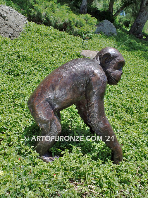 His Majesty bronze fine art gallery African wildlife walking chimpanzee ape statue