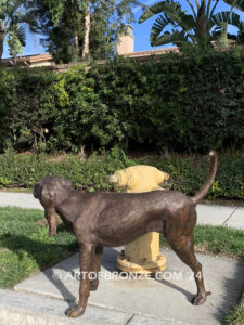 Marking his Territory gallery quality custom bronze statue of dog lifting his leg to pee