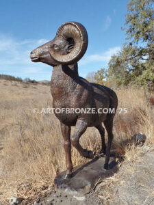 Rocky Mountain King monumental outdoor bronze sculpture big horn sheep ram on bronze rock ledge