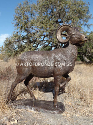 Rocky Mountain King monumental outdoor bronze sculpture big horn sheep ram on bronze rock ledge