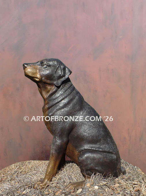 Rottador, Labrottie, gallery quality sitting labrador and rottweiler dog bronze sculpture