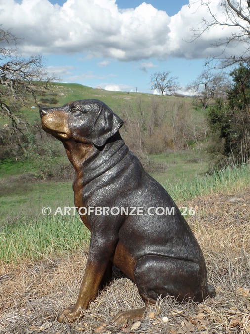 Rottador, Labrottie, gallery quality sitting labrador and rottweiler dog bronze sculpture