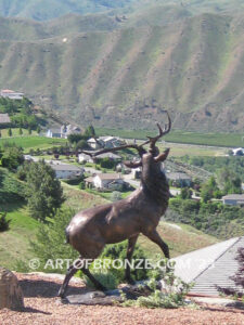 Spectacular standing elk with head turned bellowing bronze statue