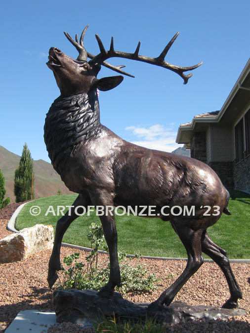 Spectacular standing elk with head turned bellowing bronze statue