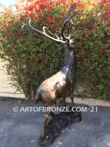 Unyielding Terrain Heroic bronze bull elk standing on rocky base design with head raised in bugling position