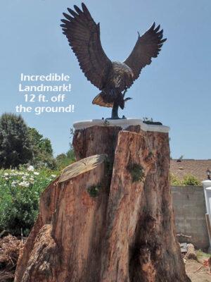 Thunder and Lightning monumental bronze eagle statue anchored a top a massive tree