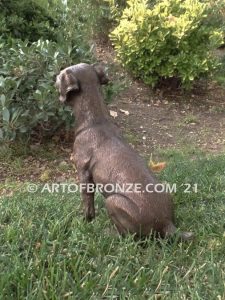 Shorty Jack Russell short-haired gallery & custom quality bronze sculpted dog pet statues