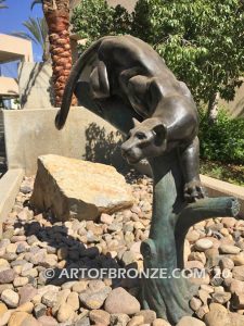 Moreno Valley College lost wax bronze casting of magnificent and powerful mountain lion mascots for college