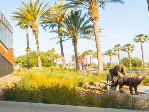 Moreno Valley College lost wax bronze casting of magnificent and powerful mountain lion mascots for college