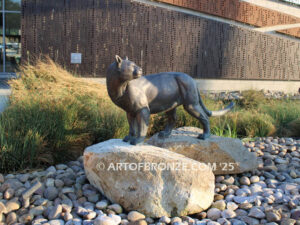 Moreno Valley College lost wax bronze casting of magnificent and powerful mountain lion mascots for college