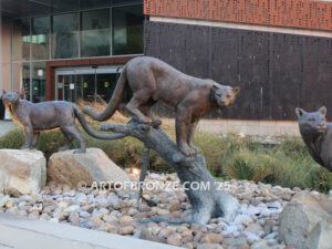 Moreno Valley College lost wax bronze casting of magnificent and powerful mountain lion mascots for college