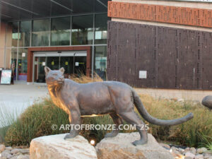 Moreno Valley College lost wax bronze casting of magnificent and powerful mountain lion mascots for college