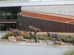 Moreno Valley College lost wax bronze casting of magnificent and powerful mountain lion mascots for college