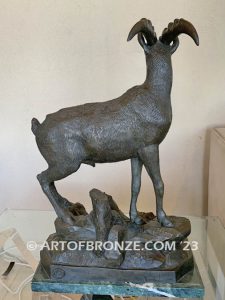 Ibex bronze sculpture standing on rocky base with large horns and rich texturing