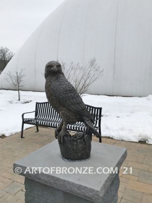 Episcopal school outdoor bronze sculpture mascot of perched red-tailed hawk on branch