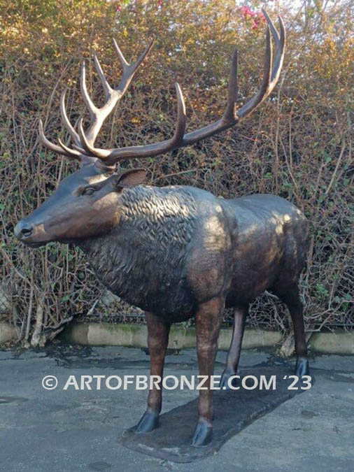 Heroic bronze bull elk bronze sculpture standing on rocky base design with head raised in bugling position