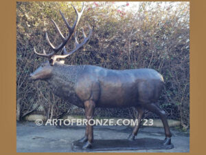 Heroic bronze bull elk bronze sculpture standing on rocky base design with head raised in bugling position