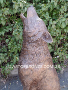 Moonlit Serenade bronze mascot coyote statue for schools, universities or zoo