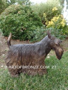 Scottish Terrier breed bronze statue of standing dog pet statue for dog lovers